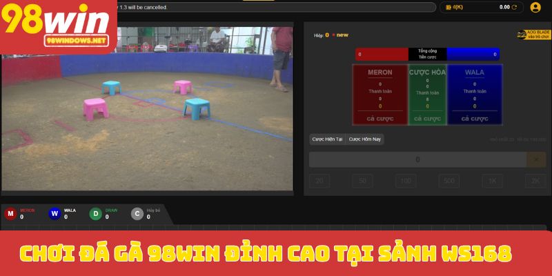 Chơi đá gà 98WIN đỉnh cao tại sảnh WS168