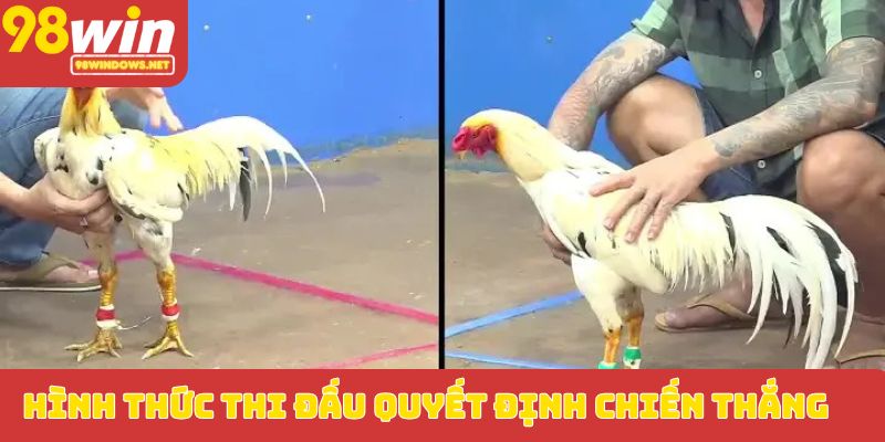 Hình thức thi đấu quyết định chiến thắng