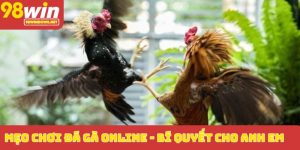 Mẹo chơi đá gà online_
