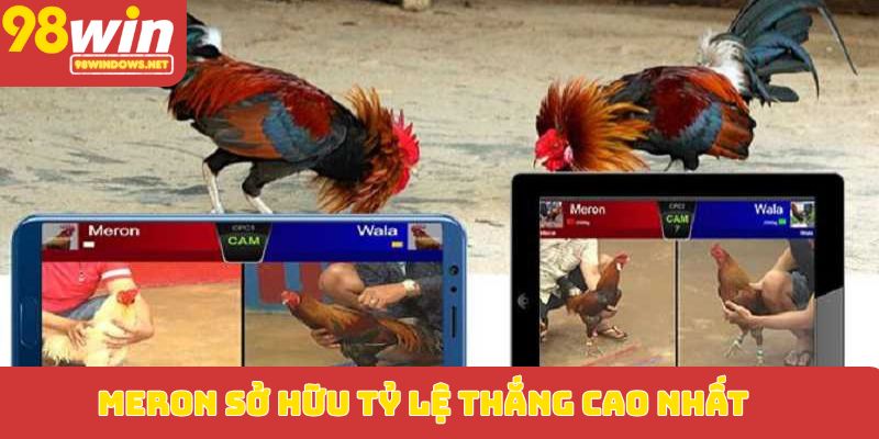 Meron sở hữu tỷ lệ thắng cao nhất