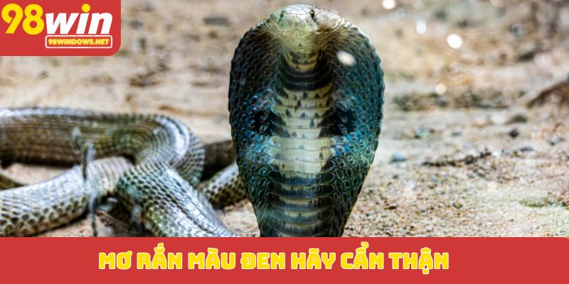 Mơ rắn màu đen hãy cẩn thận