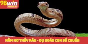 Nằm mơ thấy rắn_