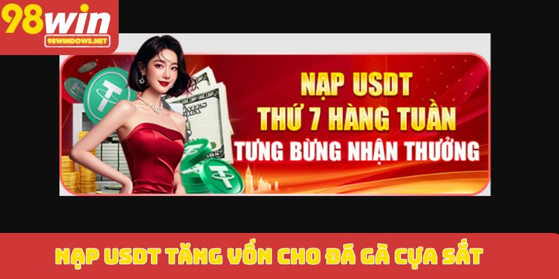 Nạp USDT tăng vốn cho đá gà cựa sắt