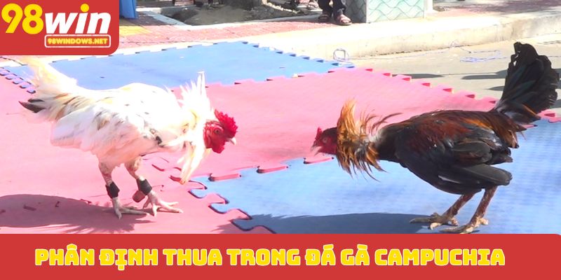 Phân định thua trong đá gà Campuchia