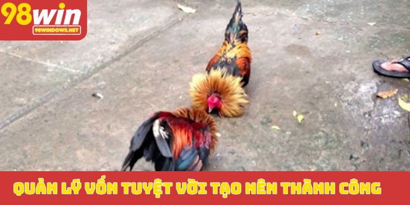 Quản lý vốn tuyệt vời tạo nên thành công