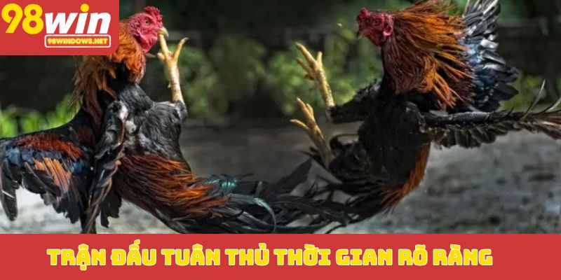 Trận đấu tuân thủ thời gian rõ ràng